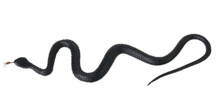 Змія гумова іграшка 23 см чорний Київ - фото 1
