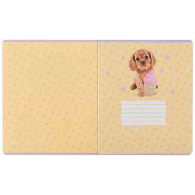 Тетрадь Kite Studio Pets, 24 листа, клетка (SP25-238) Винница