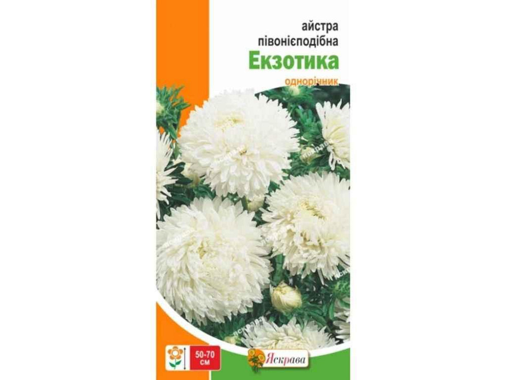 Айстра пiвонiєподібна Екзотика (20 пачок) біла 0,3г ТМ ЯСКРАВА Київ - фото 1