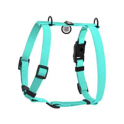 Шлей для собак WAUDOG Magnet анатомическая Н-образная с QR-паспортом, магнитная пряжка-фастекс S тиффани (262227) Винница