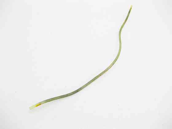 Mercedes-Benz  A0001581435 Пластикова трубка ваккумної системи Одеса