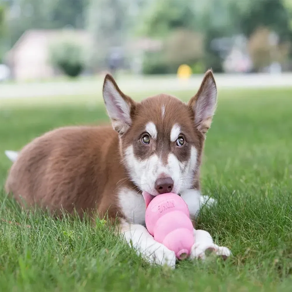 Игрушка для щенков Конг KONG Puppy груша кормушка для собак до 9 кг, размер S Винница - изображение 7