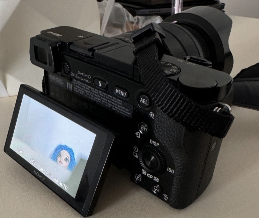 Фотоапарат Sony a6000 Київ - фото 2