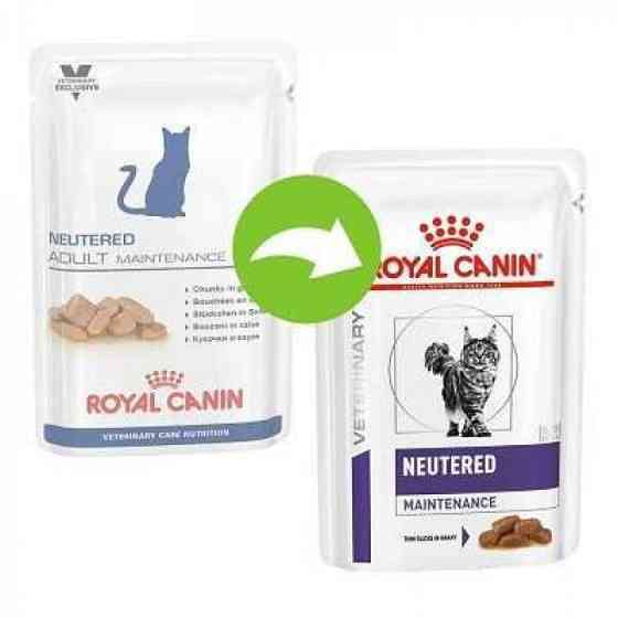 Royal Canin Neutered Adult Maintenance (Роял Канін Ньютед Едалт) вологий корм для стерилізованих кішок 0.085 кг. Запоріжжя