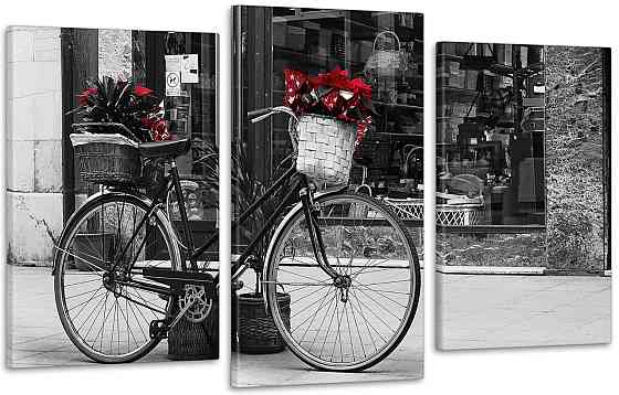 Модульна картина Велосипед і Квіти Art-105_3 Київ