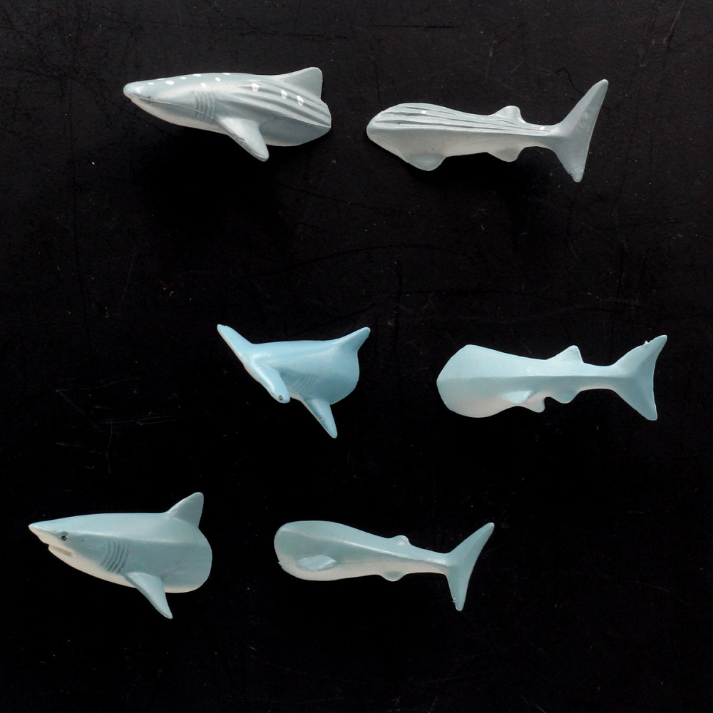 Набір магнітів "Акули" Рівне - фото 1