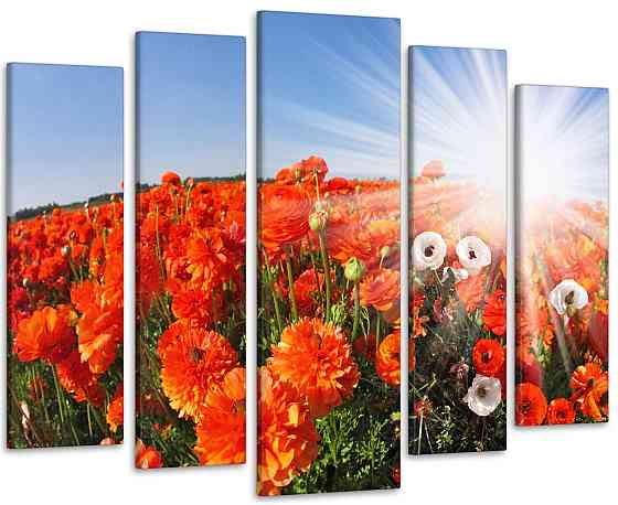 Модульная картина Цветы Маки Art-19_5 Киев