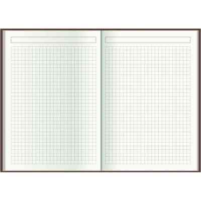 Тижневик Economix датований 2024 Spectrum, бірюза А5 (E21848) Вінниця