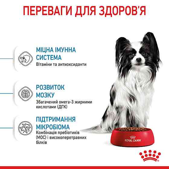 Корм для цуценят мініатюрних порід ROYAL CANIN XSMALL PUPPY 0.5 кг Київ
