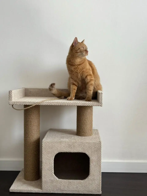 Когтеточка домик с лежанкой 65х55х35 см джутовая дряпка для кота мебельный велюр Киев - изображение 5