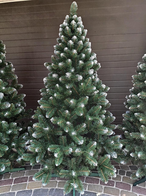 Елка искусственная новогодняя «Снежная Королева» с белыми кончиками 1-3 м Киев - изображение 1