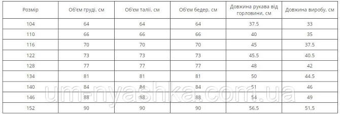 Дитяча вишиванка з синьою вишивкою Пташки в квітах 98-110 Кривий Ріг - фото 4