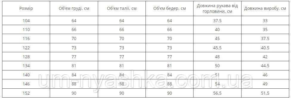 Дитяча вишиванка з синьою вишивкою Пташки в квітах 98-110 Кривий Ріг - фото 4