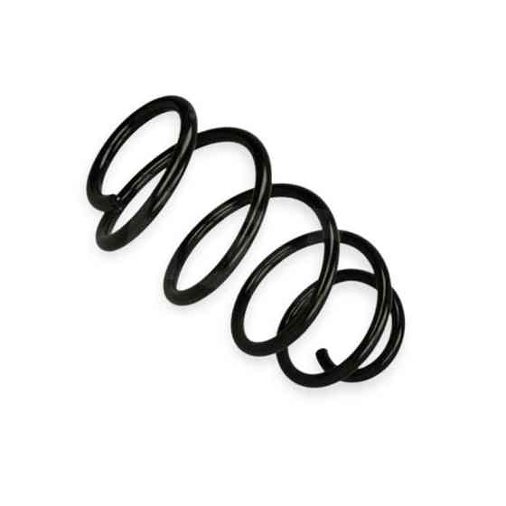 Пружина Skoda Octavia A5 2.0D 03- передняя Мукачево