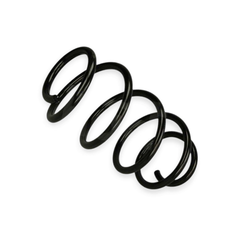 Пружина Skoda Octavia A5 2.0D 03- передняя Мукачево - изображение 1