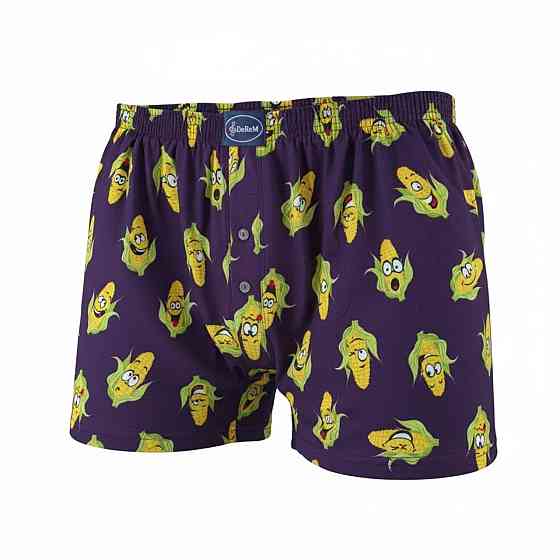 Трусы мужские семейные с ярким принтом Doremi 5 (XXL) Киев