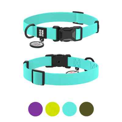 Ошейник для животных WAUDOG Magnet c QR паспортом, магнитная пряжка-фастекс L тиффани (279627) Винница