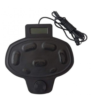 Ножной контролер Haswing для Cayman B Киев - изображение 2