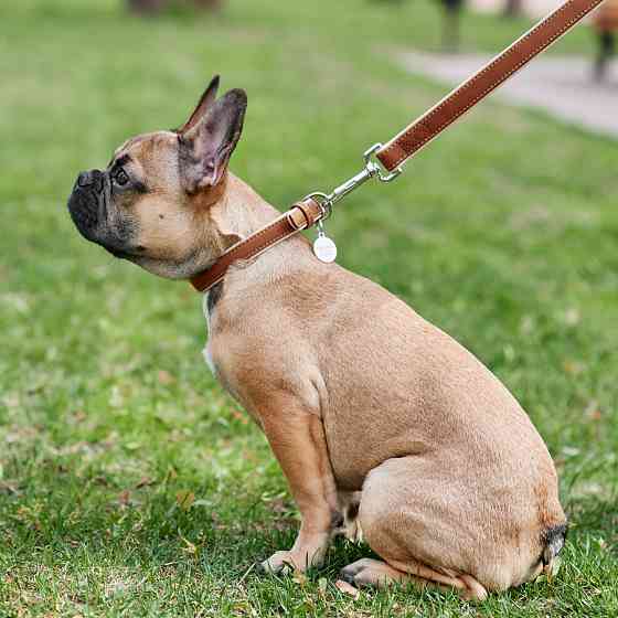 Повідець для собак шкіряний WAUDOG Soft, Ш 13 мм, Дов 122 см коричневий Коломыя