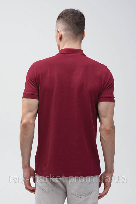 Поло классическое Stedman Lux Polo мужское бордовое (ST9060-BOD) XXL Киев - изображение 11