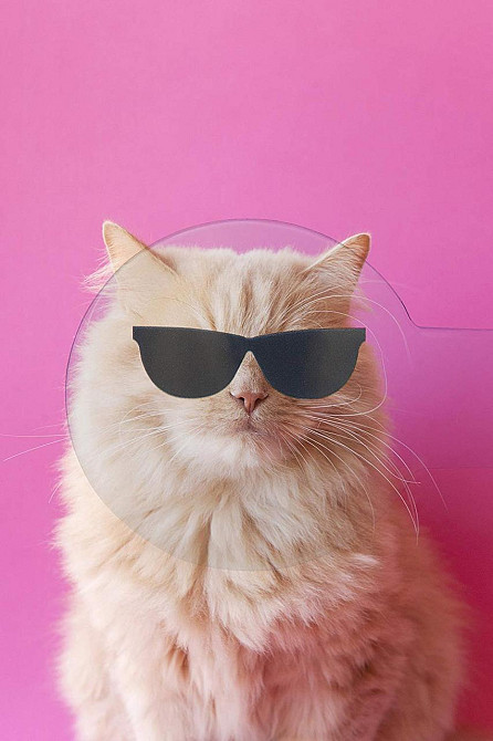 Реквізит для Selfie 