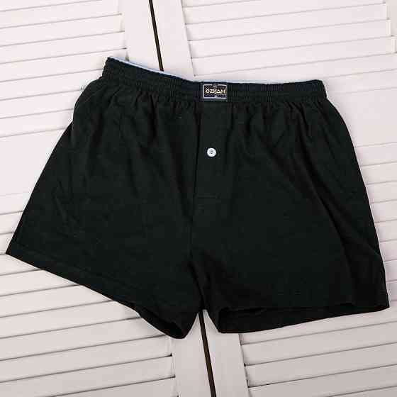 Семейные мужские трусы 100% хлопок Ozkan 0041-3 XL Киев