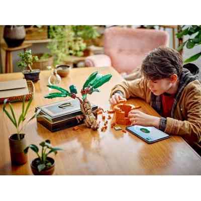 Конструктор LEGO Harry Potter Корінь мандрагори (76433) Вінниця