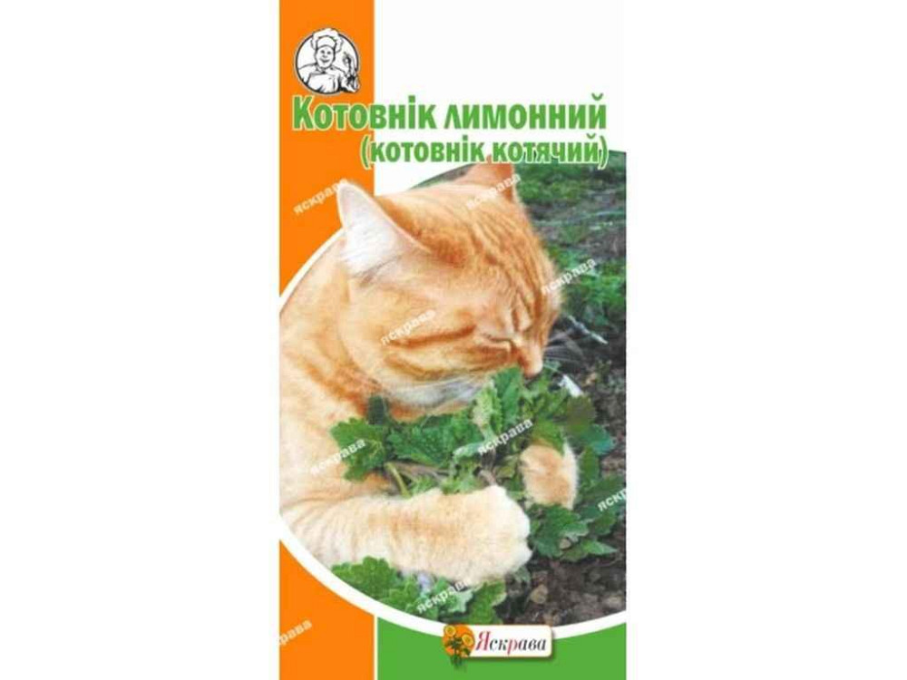 Котовник лимонный (20 пачек) 0.5г ТМ ЯСКРАВА Киев - изображение 1