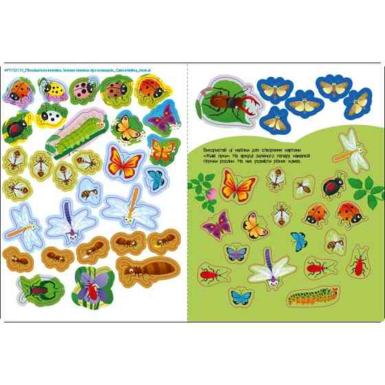 Развивающая тетрадь 