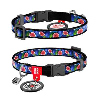 Нашийник для тварин WAUDOG Nylon з QR паспортом "Інжир" пластиковий фастекс XS 20-30 см (279-4053) Вінниця