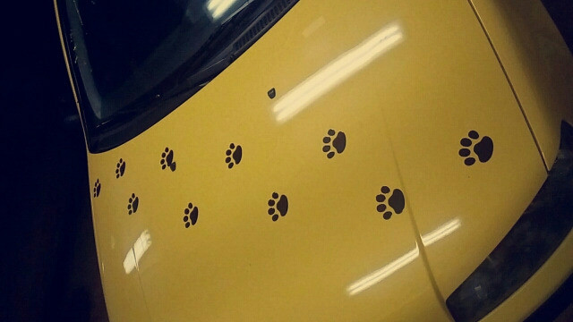 Випукла Наклейка на авто Сліди Золото Київ - фото 6