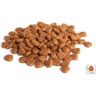 Сухой корм для кошек BonaCibo Adult Cat Lamb&Rice 2 кг (8694686406120) Винница