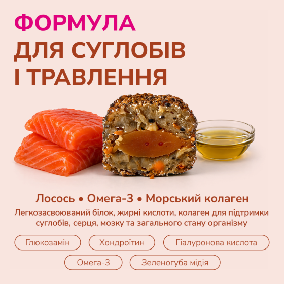 LK Baits Pet Nutrigel Salmon S-M Функціональні ласощі для собак для суглобів з лососем та Omega-3 (Ø 15 мм), 150 г Киев