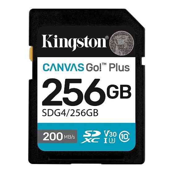 Картка пам'яті SDXC 256 GB UHS-I/U3 Class 10 Kingston Canvas Go! Plus R200/W160MB/s (SDG4/256GB) ( Canvas Go! Plus ) Харків