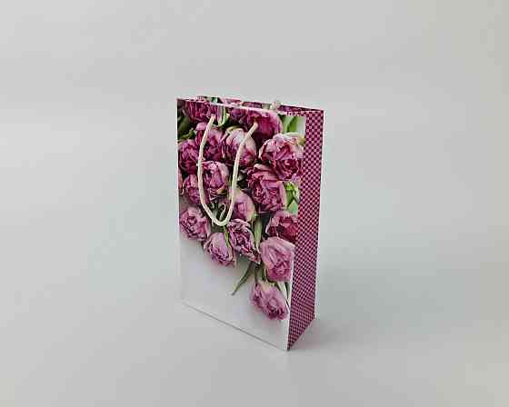 Бумажный пакет подарочный Средний 17/26/8 (артSV-100) (12 шт) Харьков