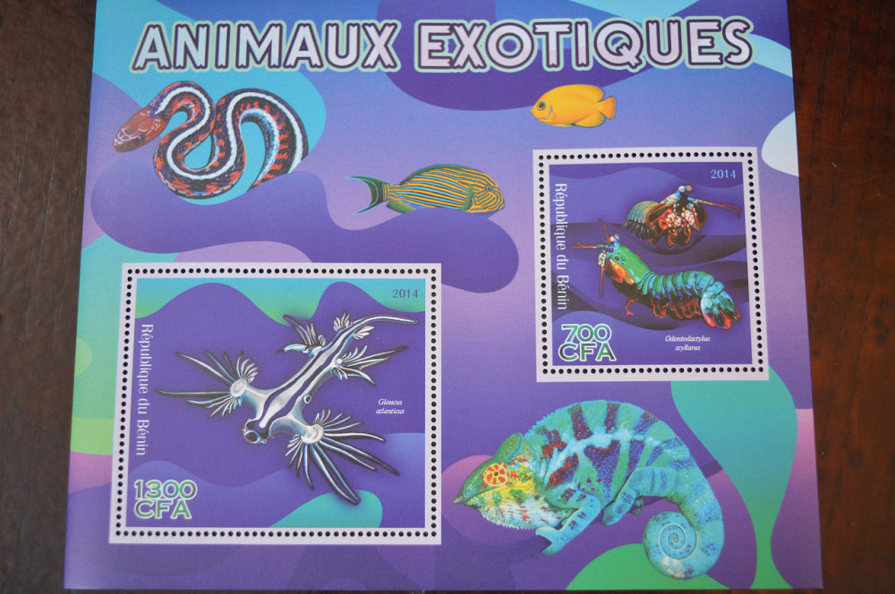 Бенін. Фауна. Личности. Блок. (А-35) Полтава - фото 1