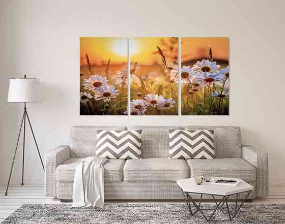 Модульная картина в гостиную / спальню  Поле Ромашок       ART-311_3A Киев
