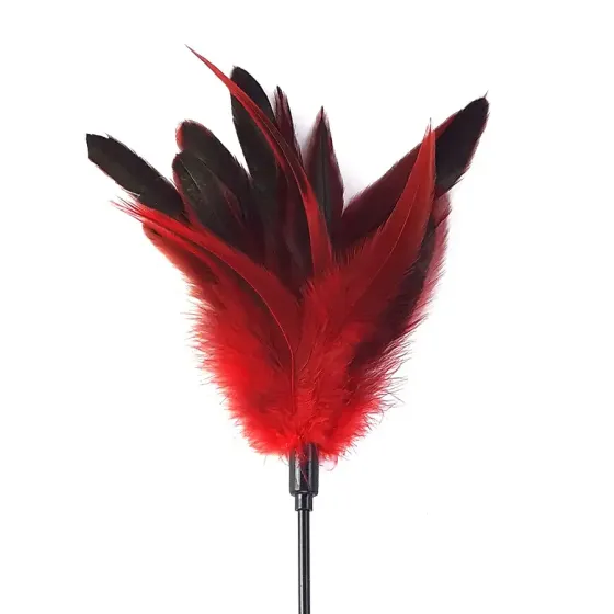 Лоскітка червона Art of Sex - Feather Paddle, перо молодого півня Львів