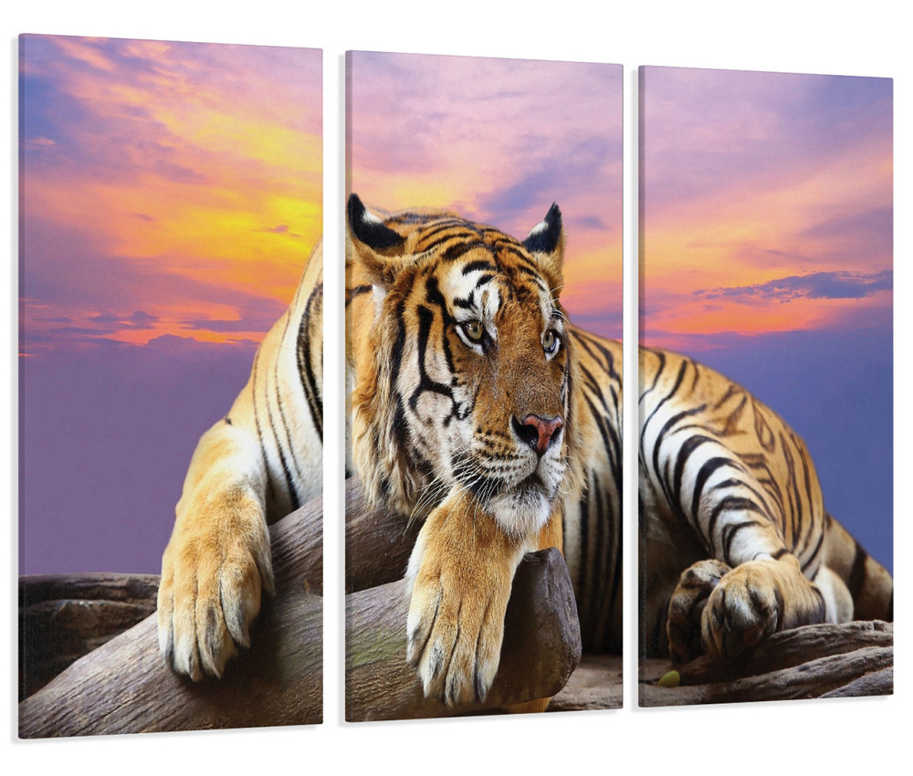 Модульная картина Природа Тигр Art-209_XXL 70x130 см Киев - изображение 1