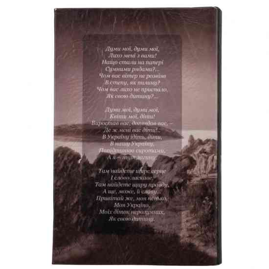 Книга сейф с замком Кобзар 26 см Винница