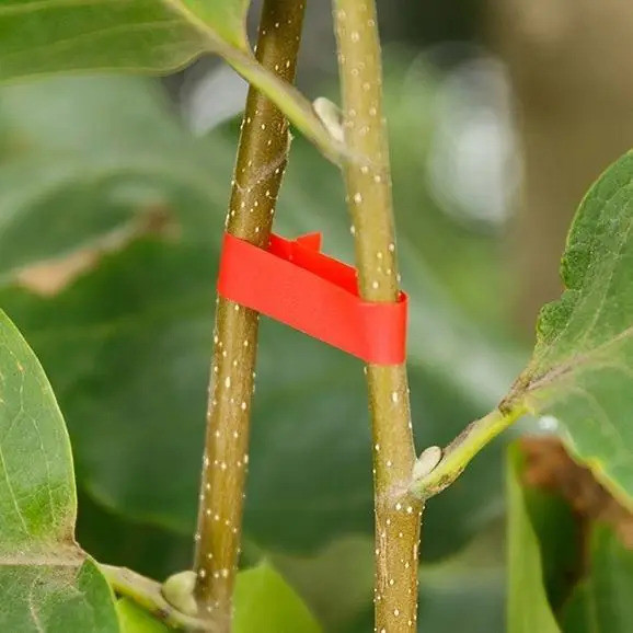 Набор для садового степлера тапенера: подвязочная лента 20 шт (600 м) + скобы (10000 шт) Черновцы - изображение 5