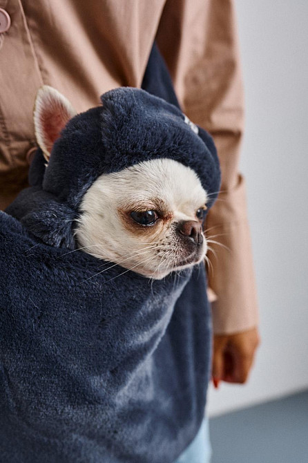 Шапка ушанка для собак меховая зимняя Dogs Bomba теплые ушки 1 Неви Одесса - изображение 3