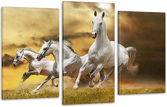Модульна картина Коні Art-79_3 Київ
