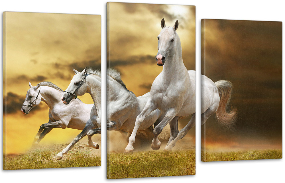 Модульна картина Коні Art-79_3 Київ - фото 1