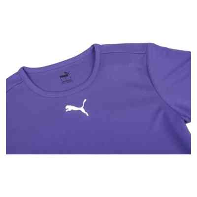 Футболка Puma teamRISE Jersey 704932-10 фіолетовий XL (4063699211580) Винница