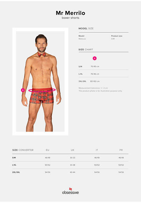 Рольовий костюм Mr Merrilo bokserki i mucha 2XL/3XL Sex Aura Київ - фото 2