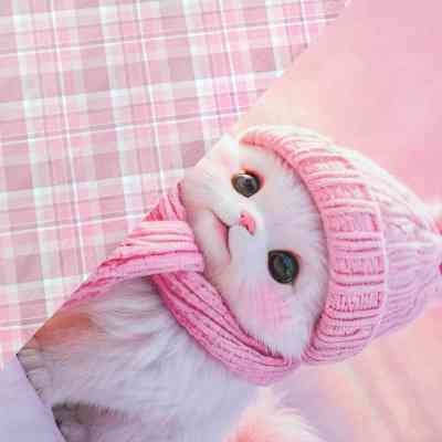 Детский постельный набор Home Line Пинки (193169) Винница