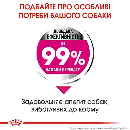 Корм для собак ROYAL CANIN MINI EXIGENT 3.0 кг – сухой корм для привередливых собак малых размеров Киев