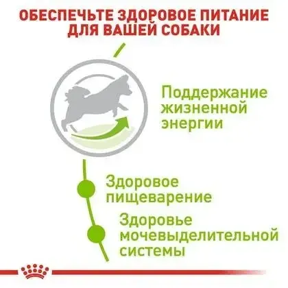 Royal Canin X-Small Adult 8+ (Роял Канин Икс-Смол Эдалт 8+) сухой корм для миниатюрных собак до 4 кг от 8 лет 3 кг. Запорожье