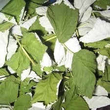 Листя малини (Лист малины)100г master sem Киев - изображение 1